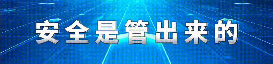 作       者 | 张园园