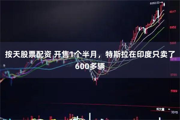 按天股票配资 开售1个半月，特斯拉在印度只卖了600多辆